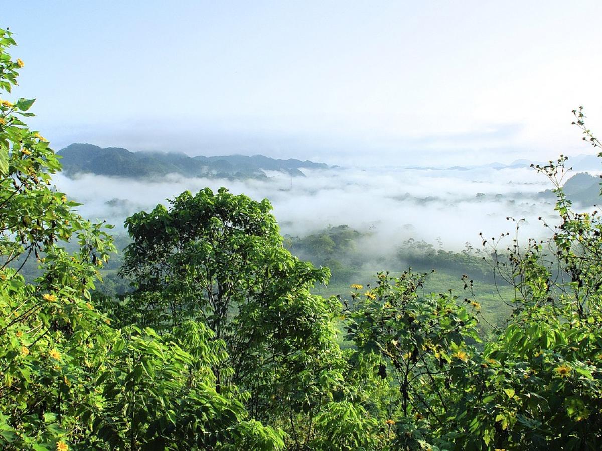 Una 'ciudad perdida' en Ecuador, amenazada por carreteras y erosión