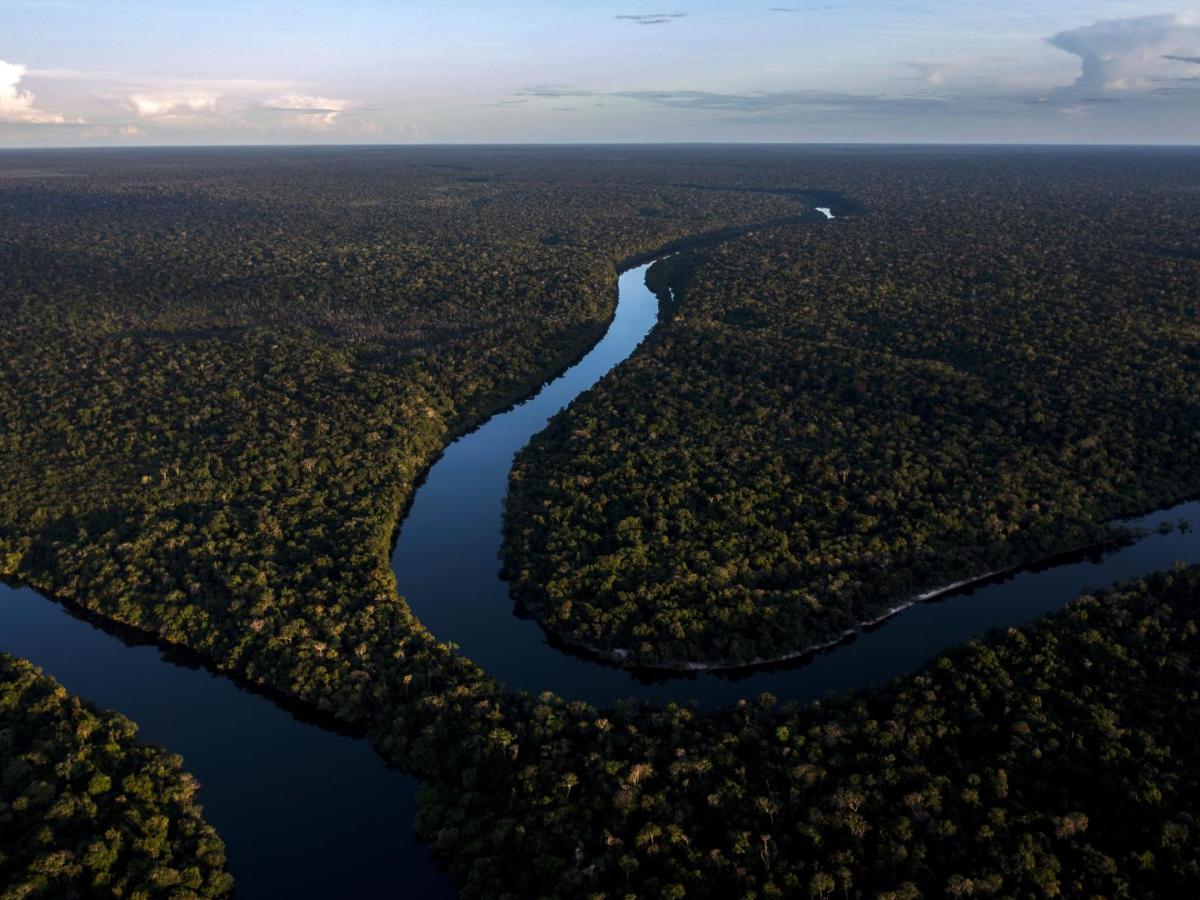 Estudio revela que la Amazonía podía llegar al punto de no retorno en el 2050