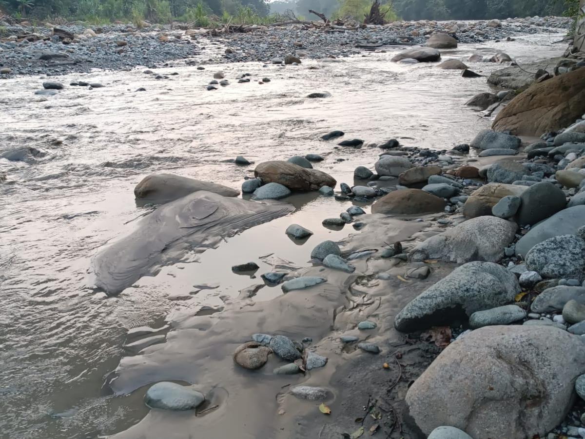 Meta: Vista Hermosa se viste de gala para el primer Festival de la Cucha