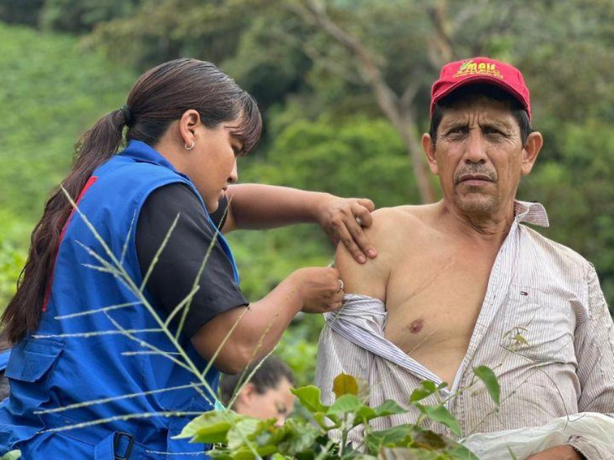 Fiebre amarilla: avances en vacunación 