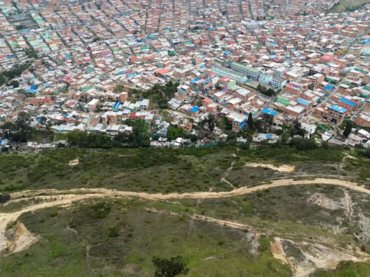  De leyendas a protección ambiental: descubre la historia del Palo del Ahorcado en Bogotá