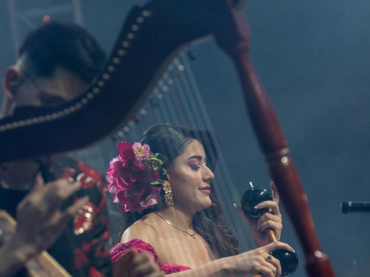 Joropo al Parque 2024: fechas, horarios, artistas y lugar