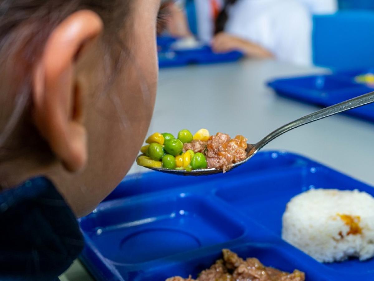 Programa de Alimentación Escolar apunta a cobertura histórica en 2026