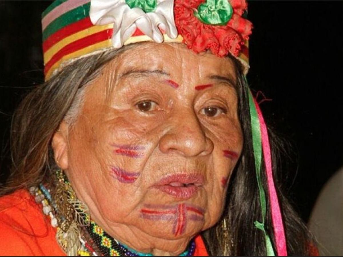 Día Internacional de la Lengua Materna y Día Nacional de Lenguas Nativas