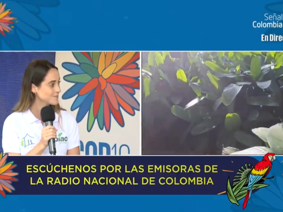 Emprendimiento Casa Bijao, en el Calentao.