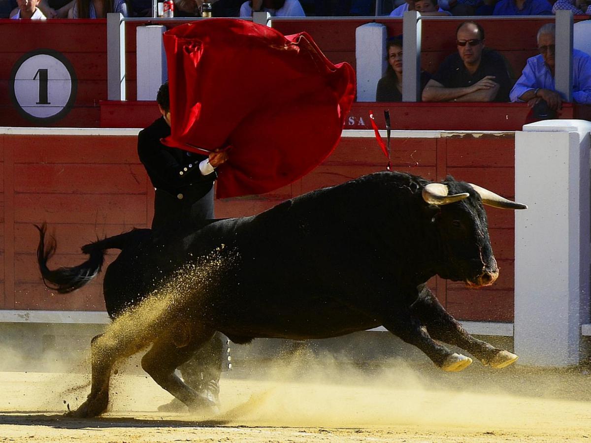 Ciudad de México cerca de abolir las corridas de toros