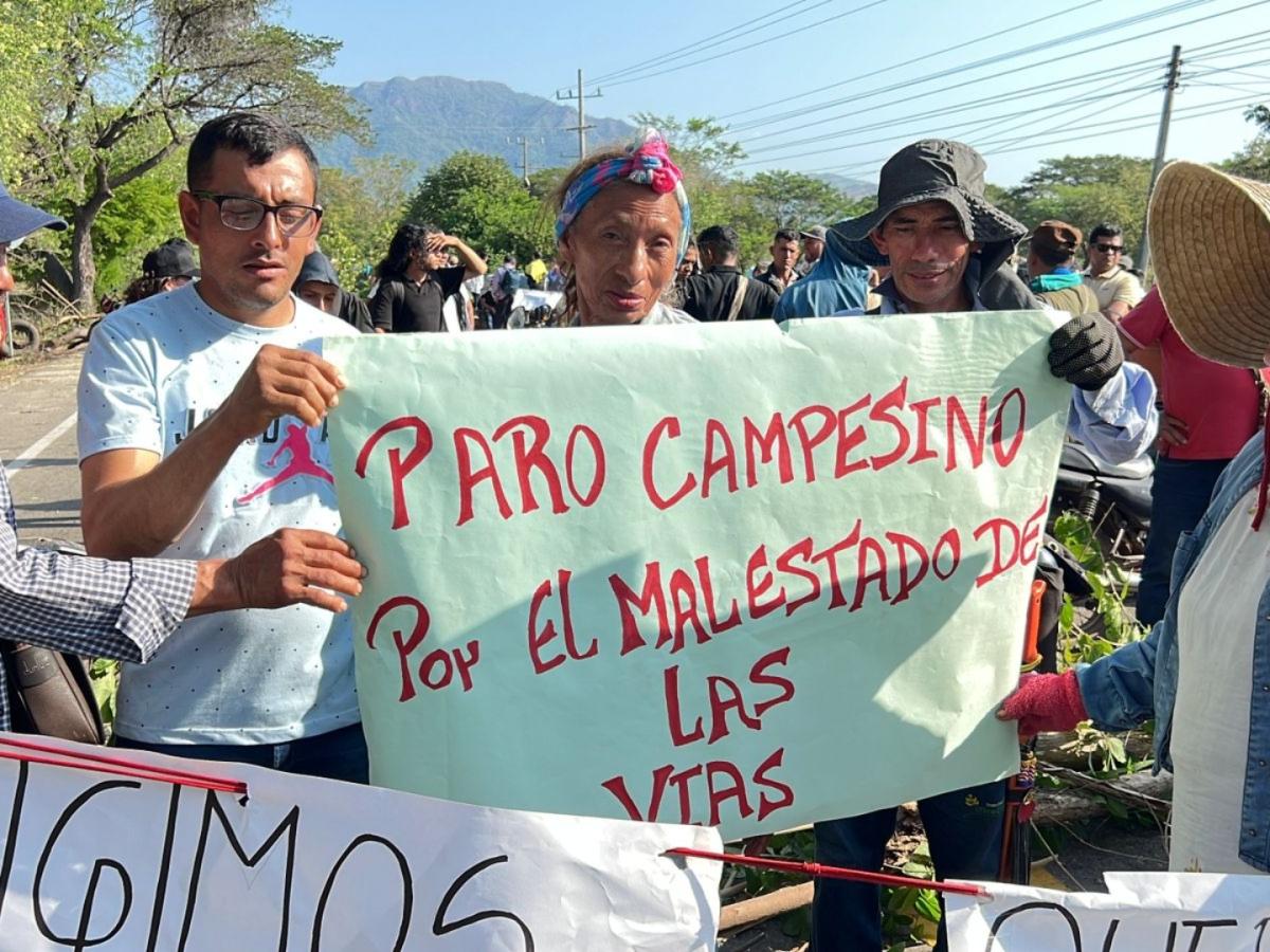 Campesinos bloquean vía a Valledupar por incumplimientos en PDET