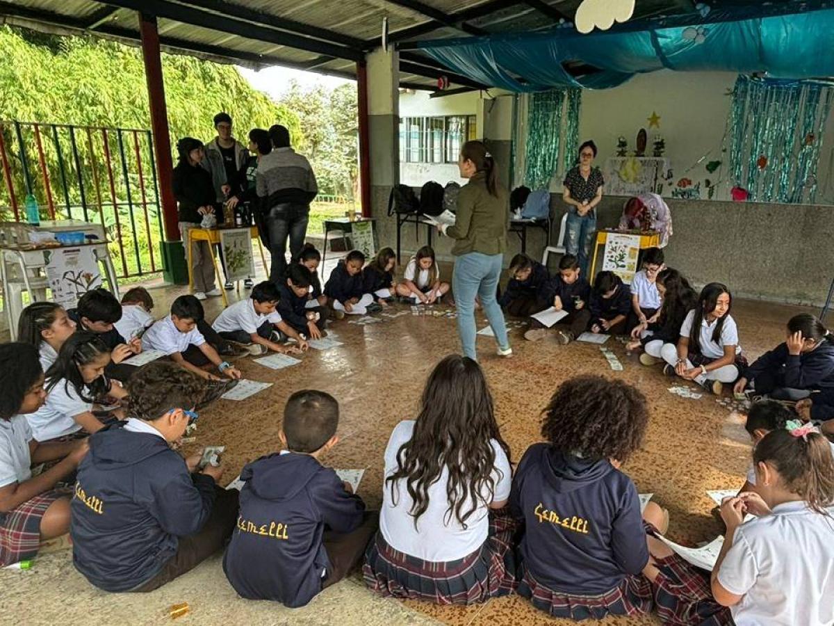 Plantas medicinales en Caldas para crear hábitos de vida saludables