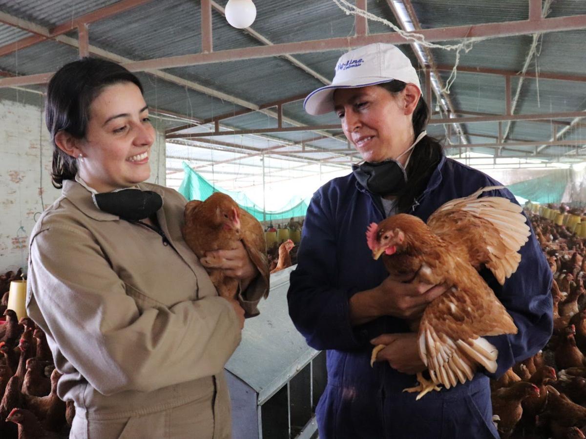 Cómo certificar conocimientos empíricos con el SENA | CampeSena