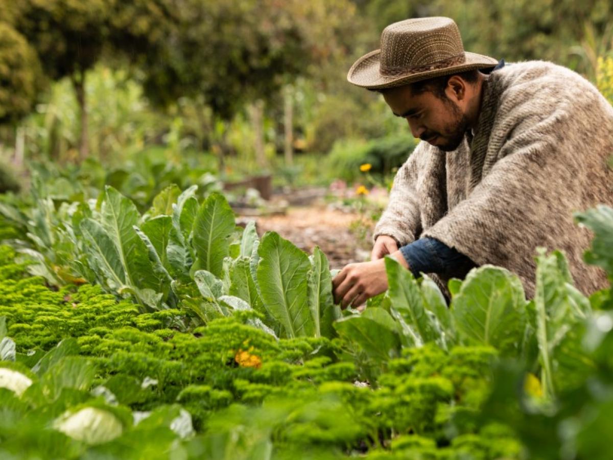 Día Mundial de la Agricultura