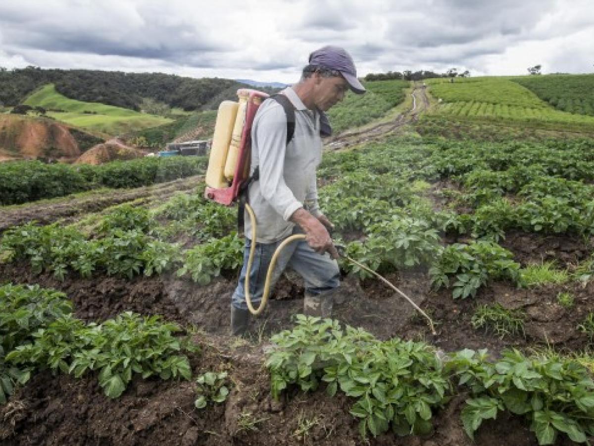 Crecimiento exportaciones septiembre 2025: impulsadas sector agropecuario 