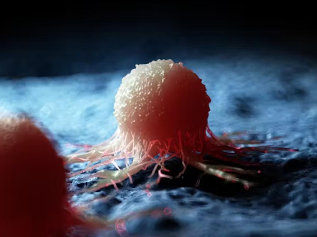 Cómo la gripe y la covid-19 pueden despertar un cáncer dormido