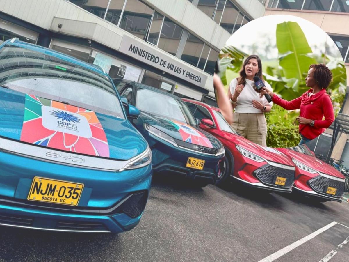 RTVC se suma a la caravana del Ministerio de Minas y Energía rumbo a la COP16 para impulsar las energías limpias