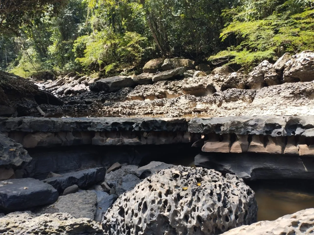 Día Internacional de Acción por los Ríos: río Oibita, caudal sagrado