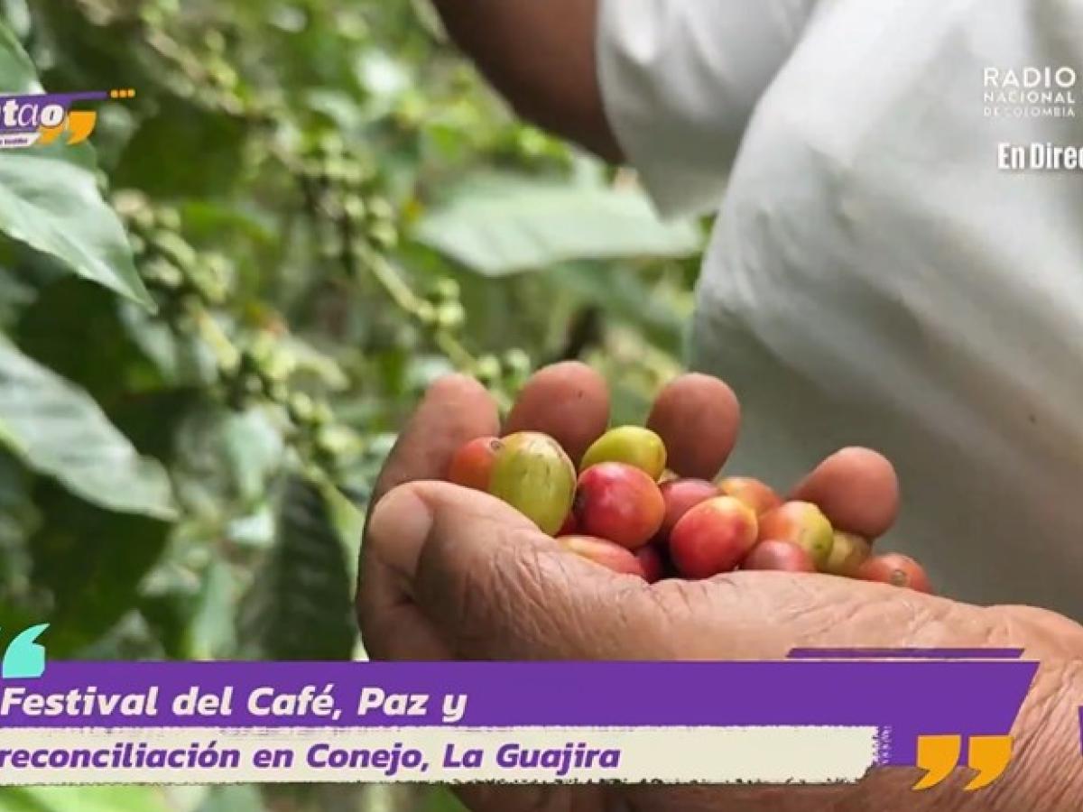 Cafeteros en  La Guajira.