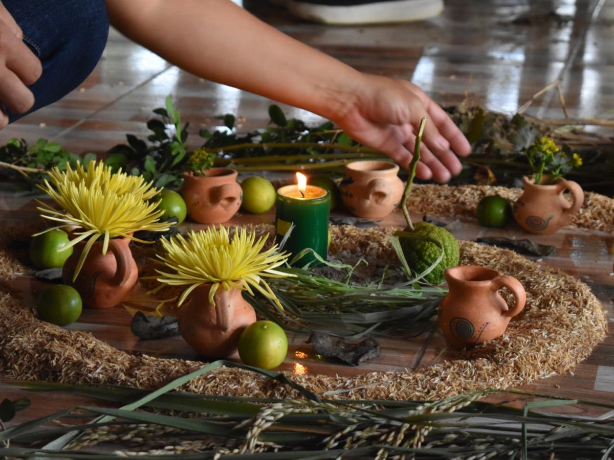 El hilo de agua y barro: El viaje del río Saldaña por los cuerpos y los arrozales del Tolima