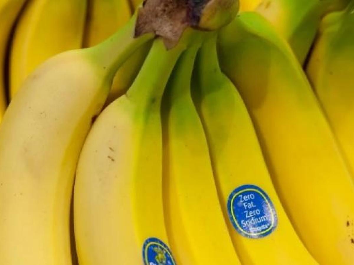 Chiquita Brand responsable de financiar grupos paramilitares