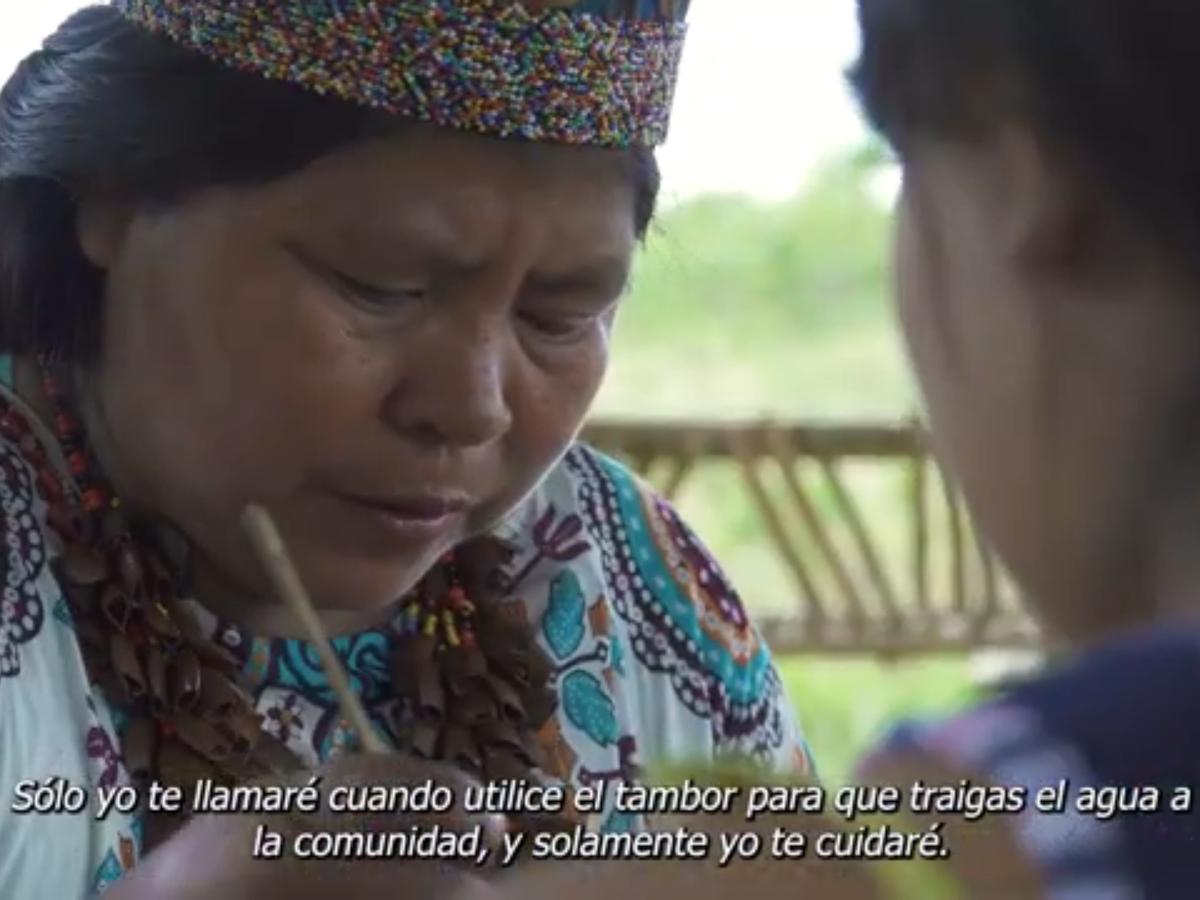 Kipara: el arte de curar entre los Embera Chami