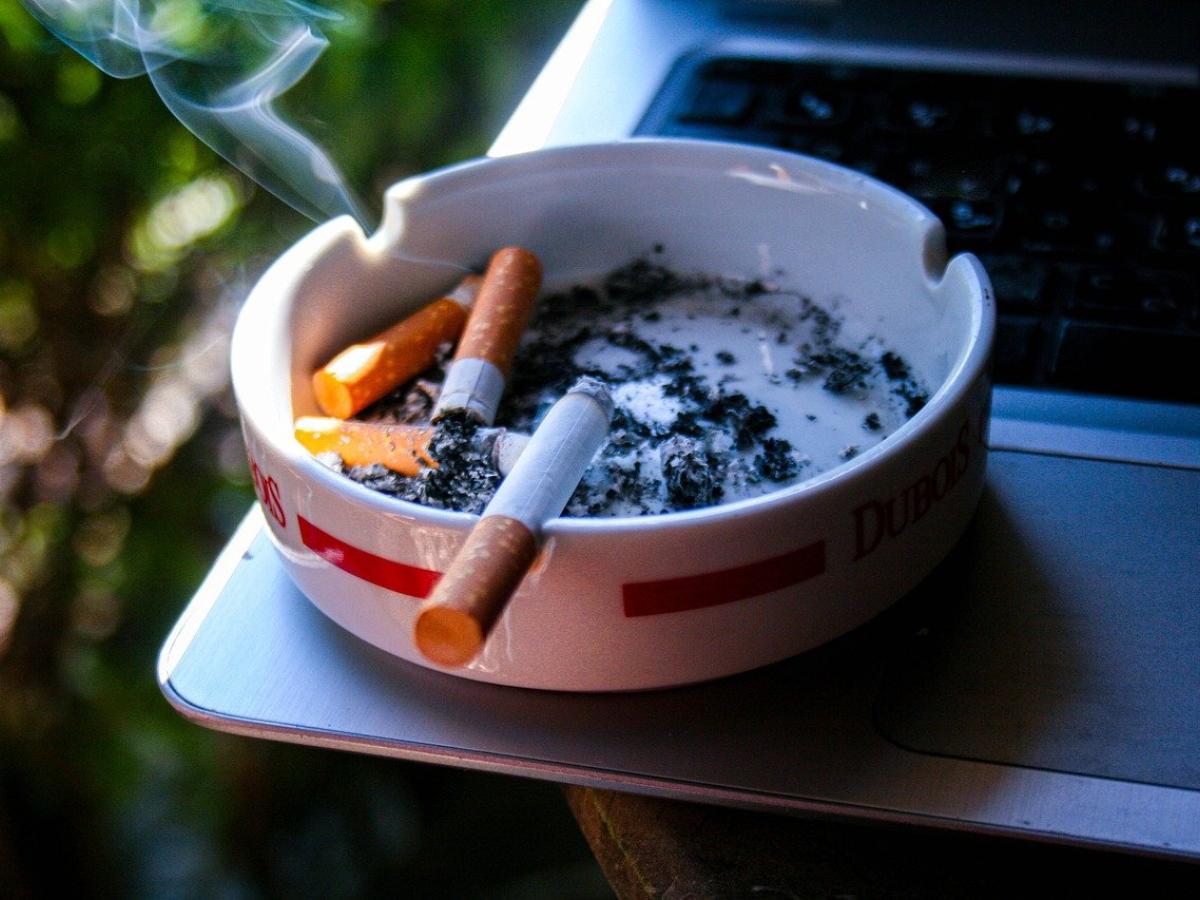 Ocde recomienda aumento en impuestos de tabaco en America latina y caribe