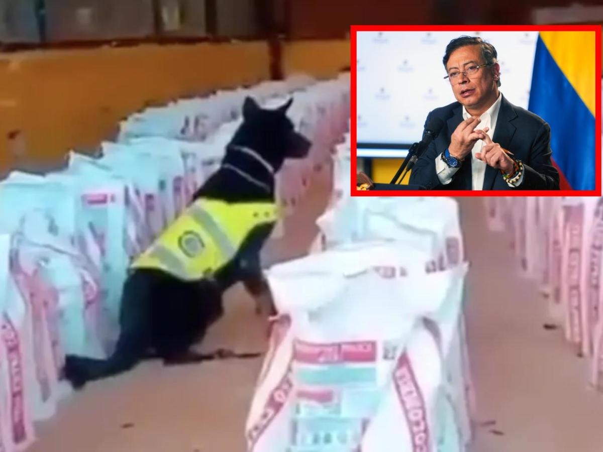 14 toneladas de cocaína fueron decomisadas en Buenaventura