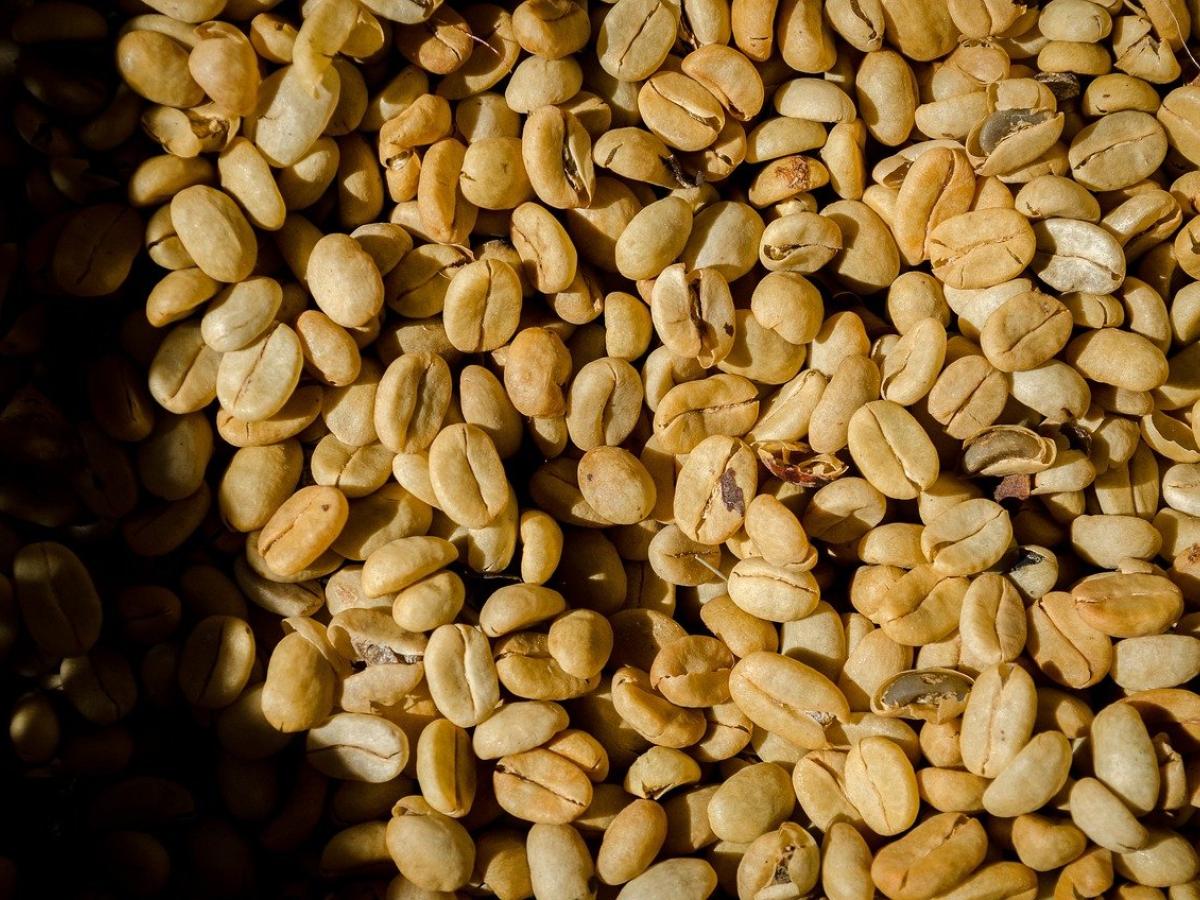 Agroexpo 2023 | Firmantes de paz participan con sus proyectos productivos