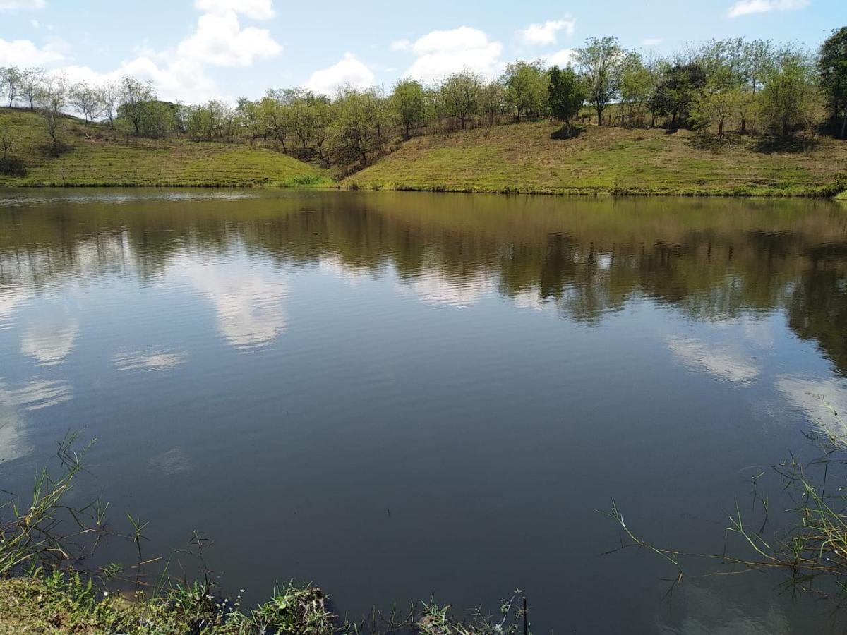 Colombia aprobó ley para proteger humedales 