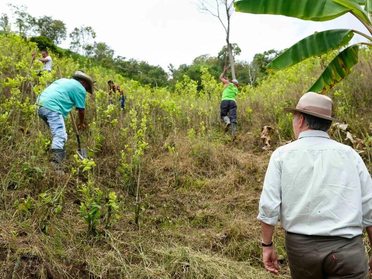 Inversión del Gobierno en Nariño: $400.000 millones para sustituir cultivos ilícitos y apoyar a campesinos