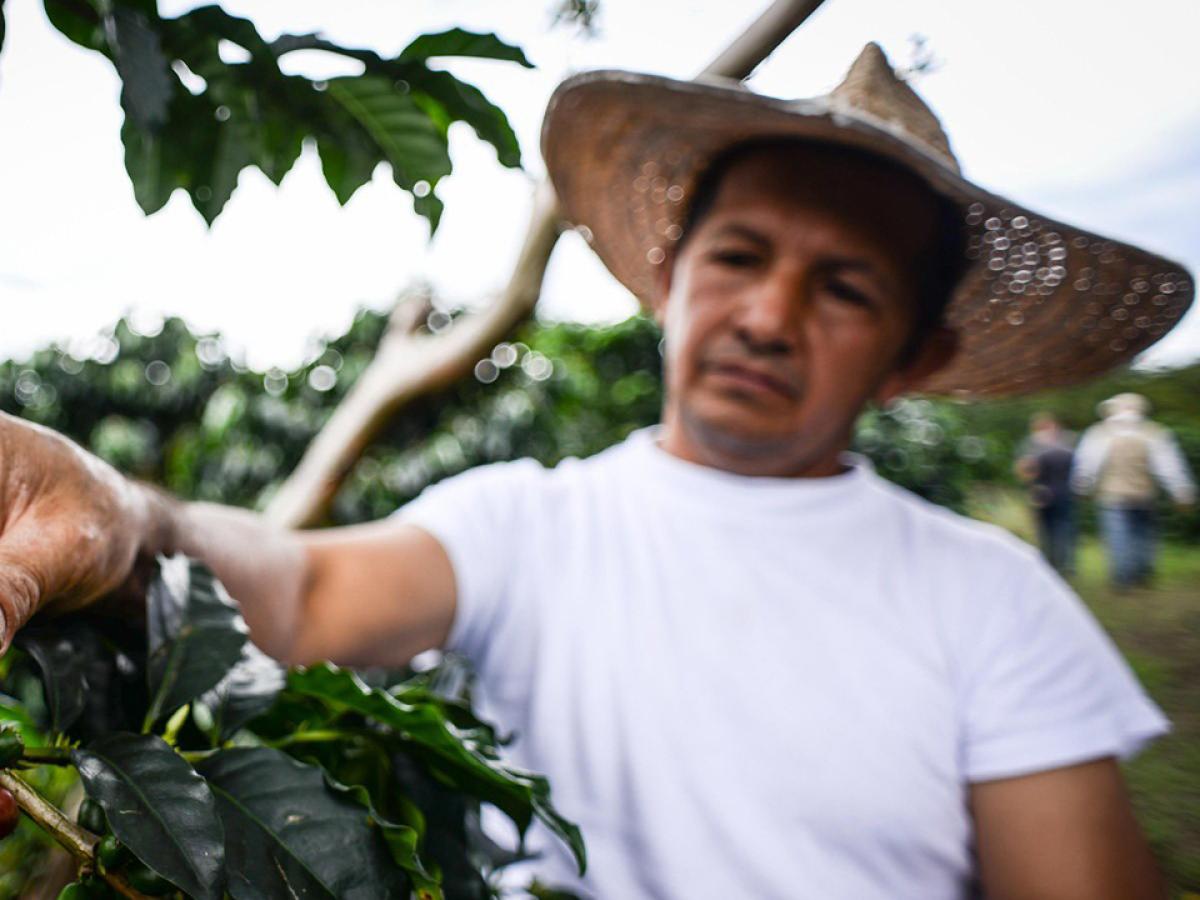 crecimiento en las exportaciones agropecuarias reportó el DANE