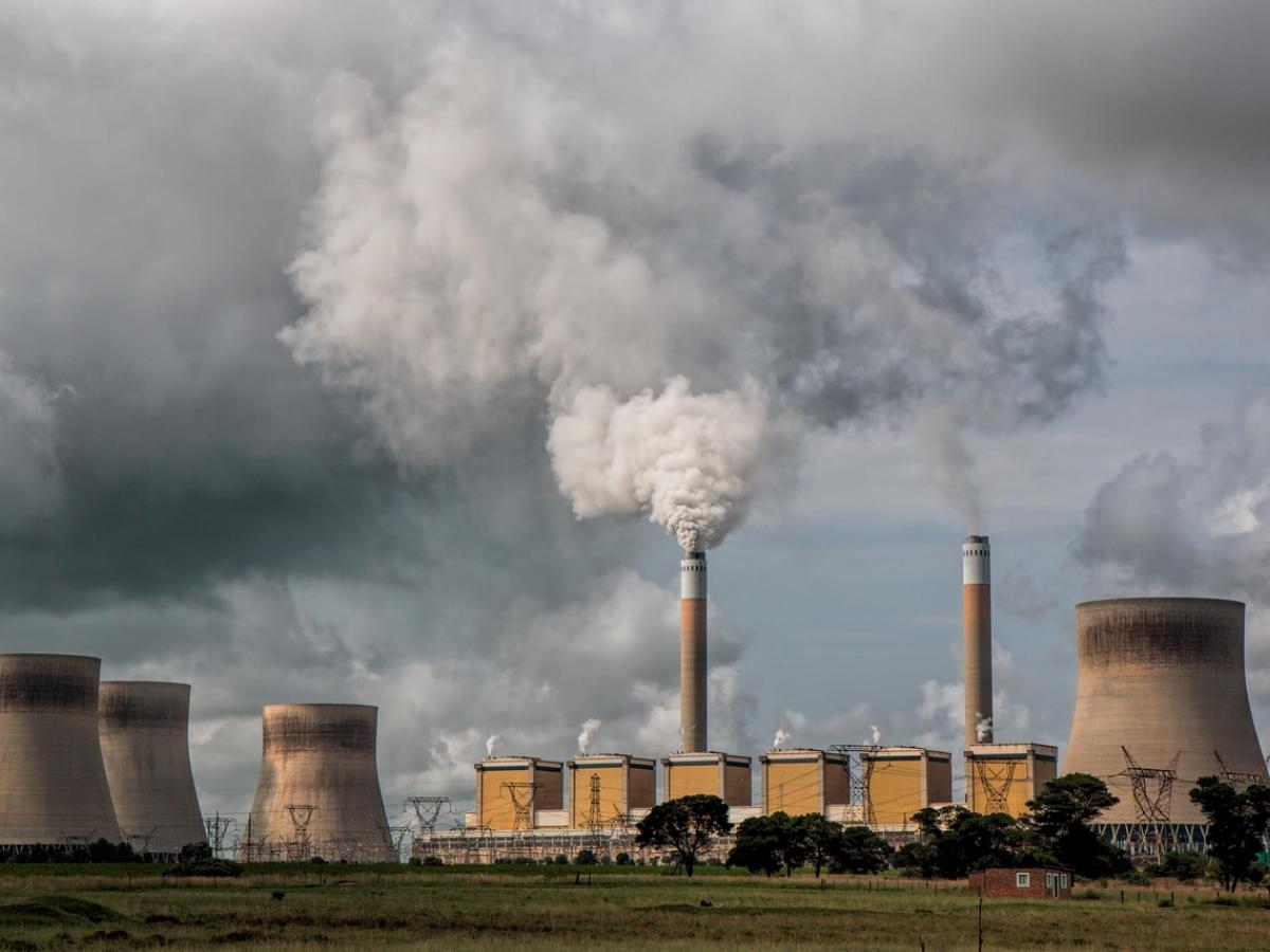 Día Mundial del Decrecimiento: ¿Qué es cómo afecta Colombia?