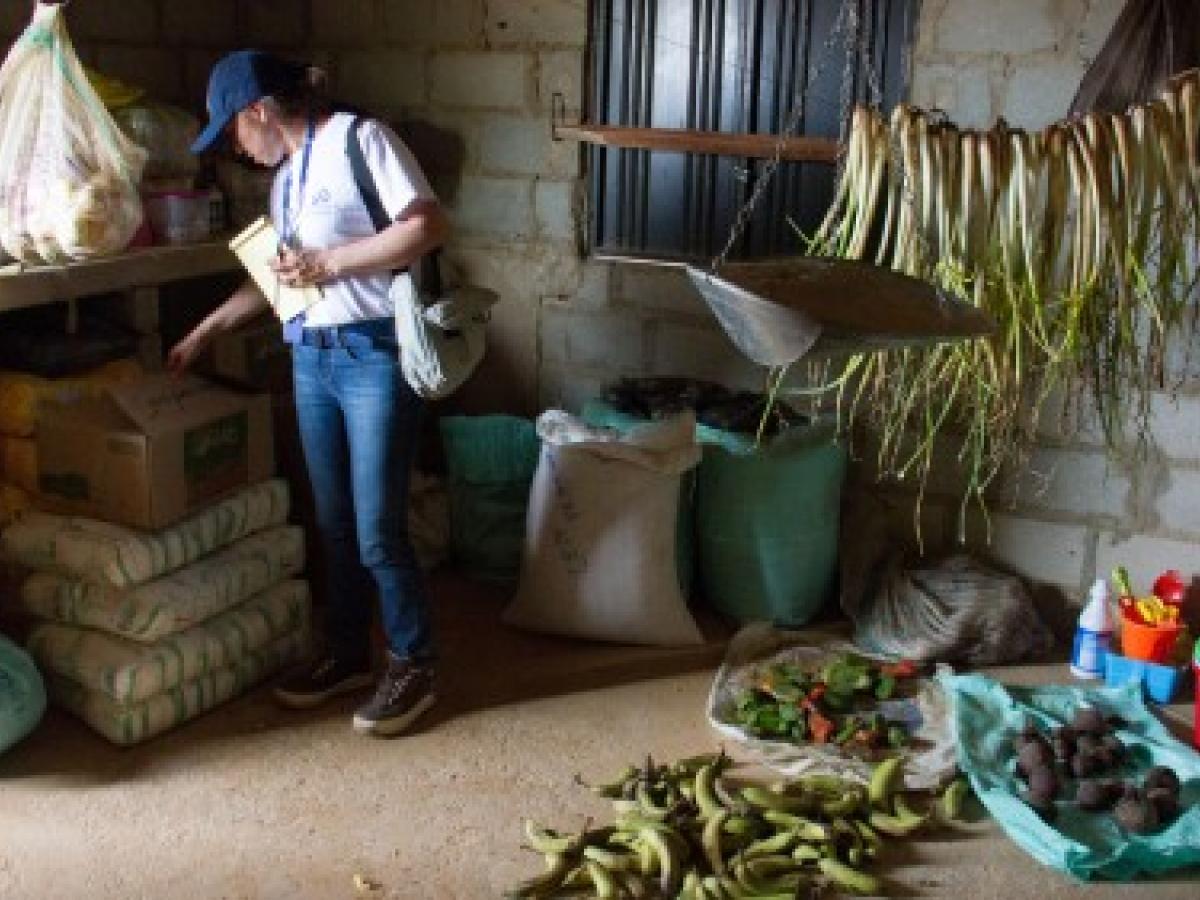 Garantizar la alimentación y la Guajira: Corte exige al Gobierno