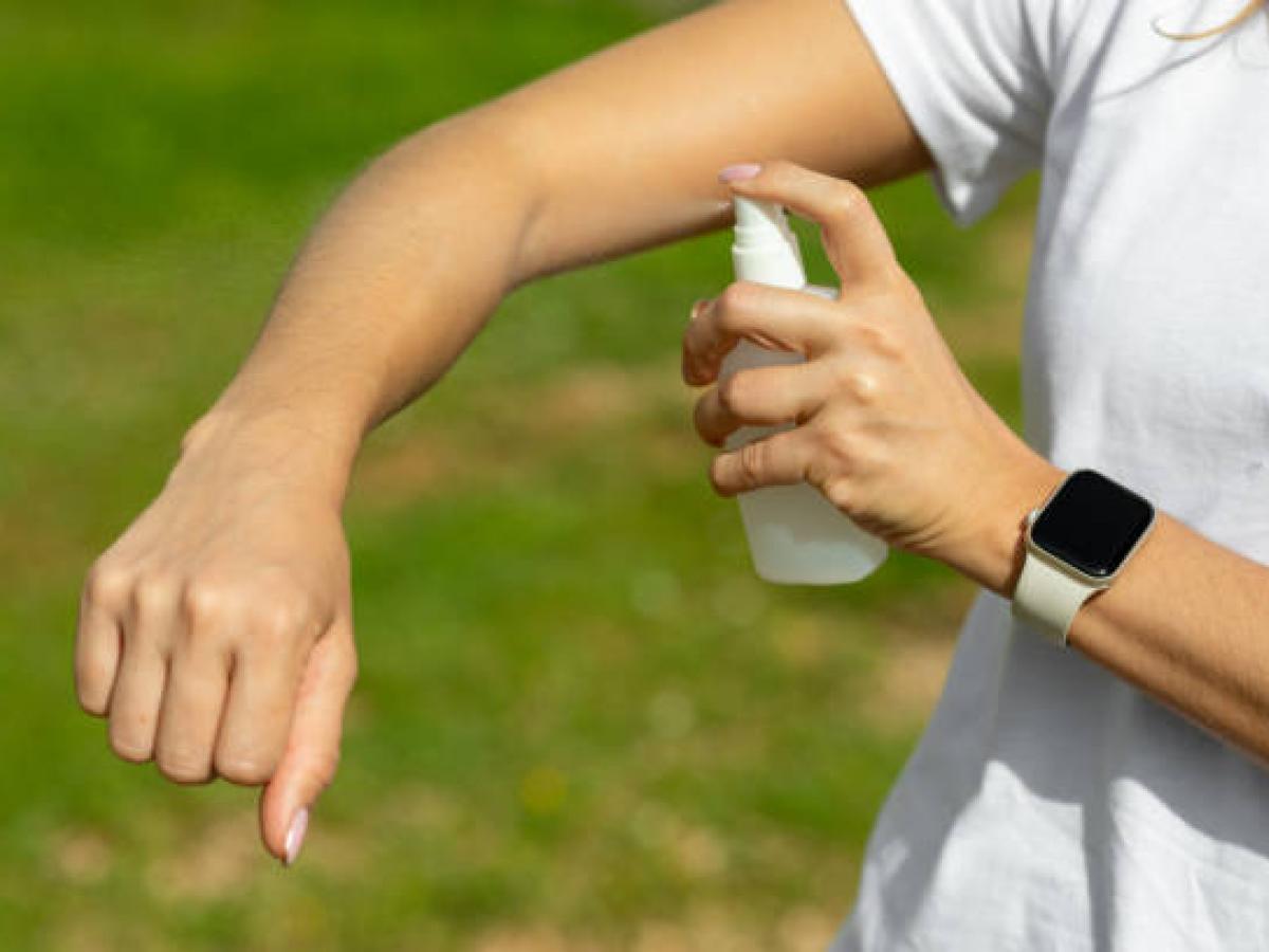 Medidas de protección para prevenir la propagación del dengue en Arauca 