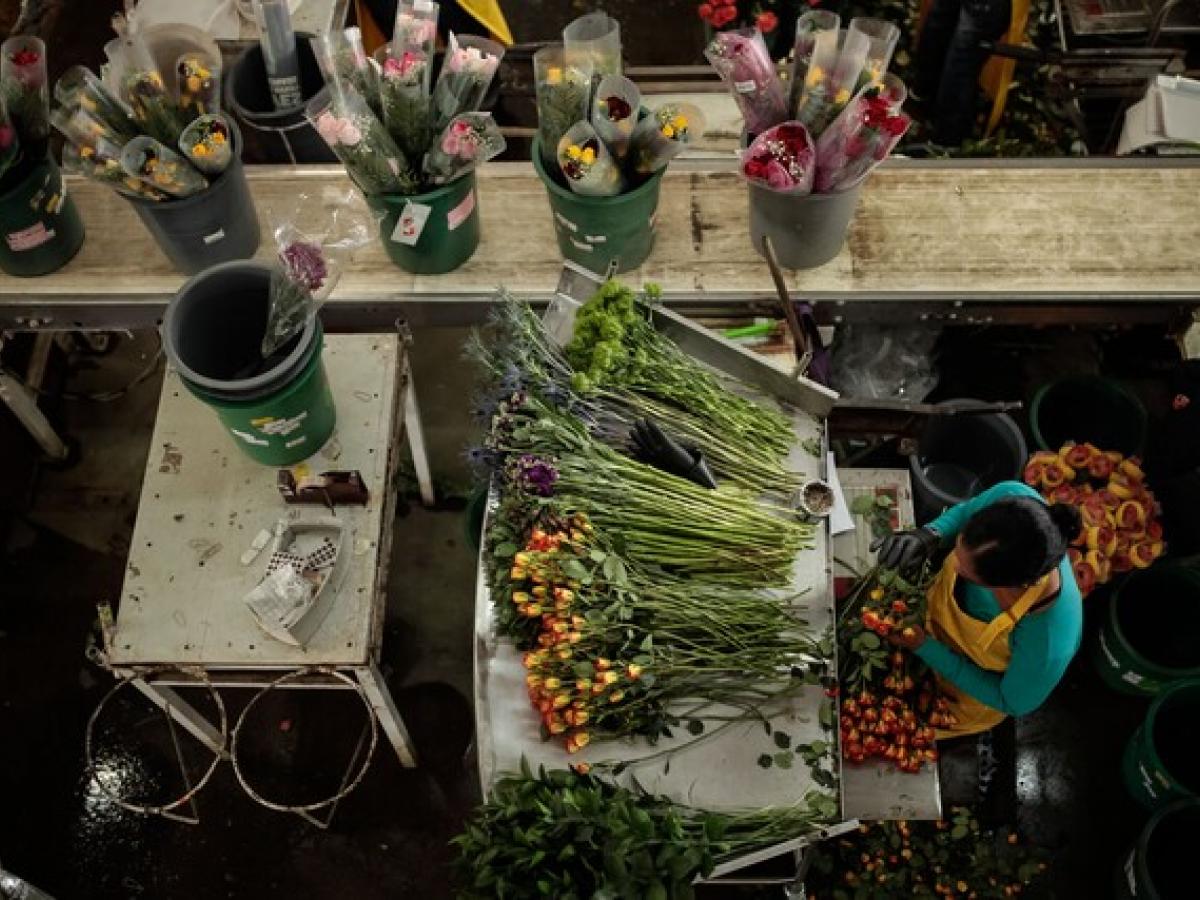 Panorama económico para el nuevo presidente | Elecciones 2022