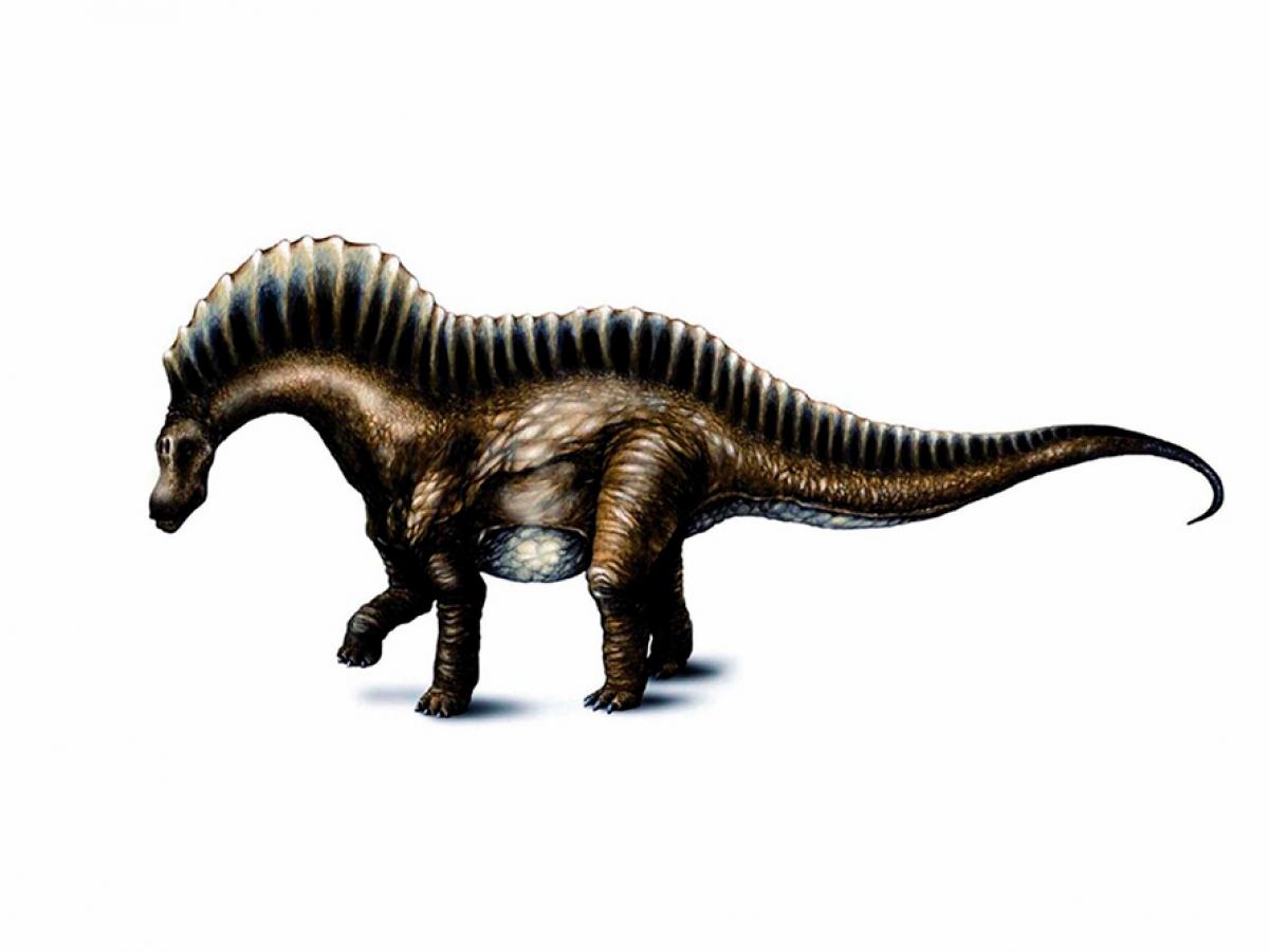 Depredadores adaptaron las cuencas oculares a su mordida