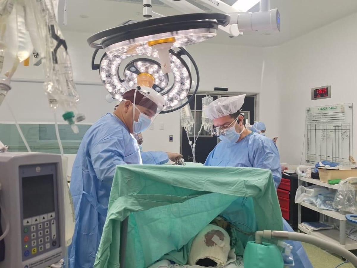 Día Mundial de la Donación de Órganos y Tejidos 2025