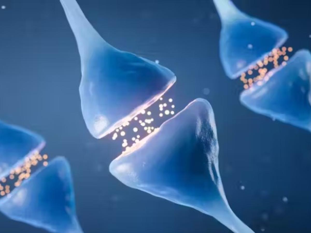 Atajos hacia el placer: la peligrosa cara oculta de la “hormona de la felicidad”