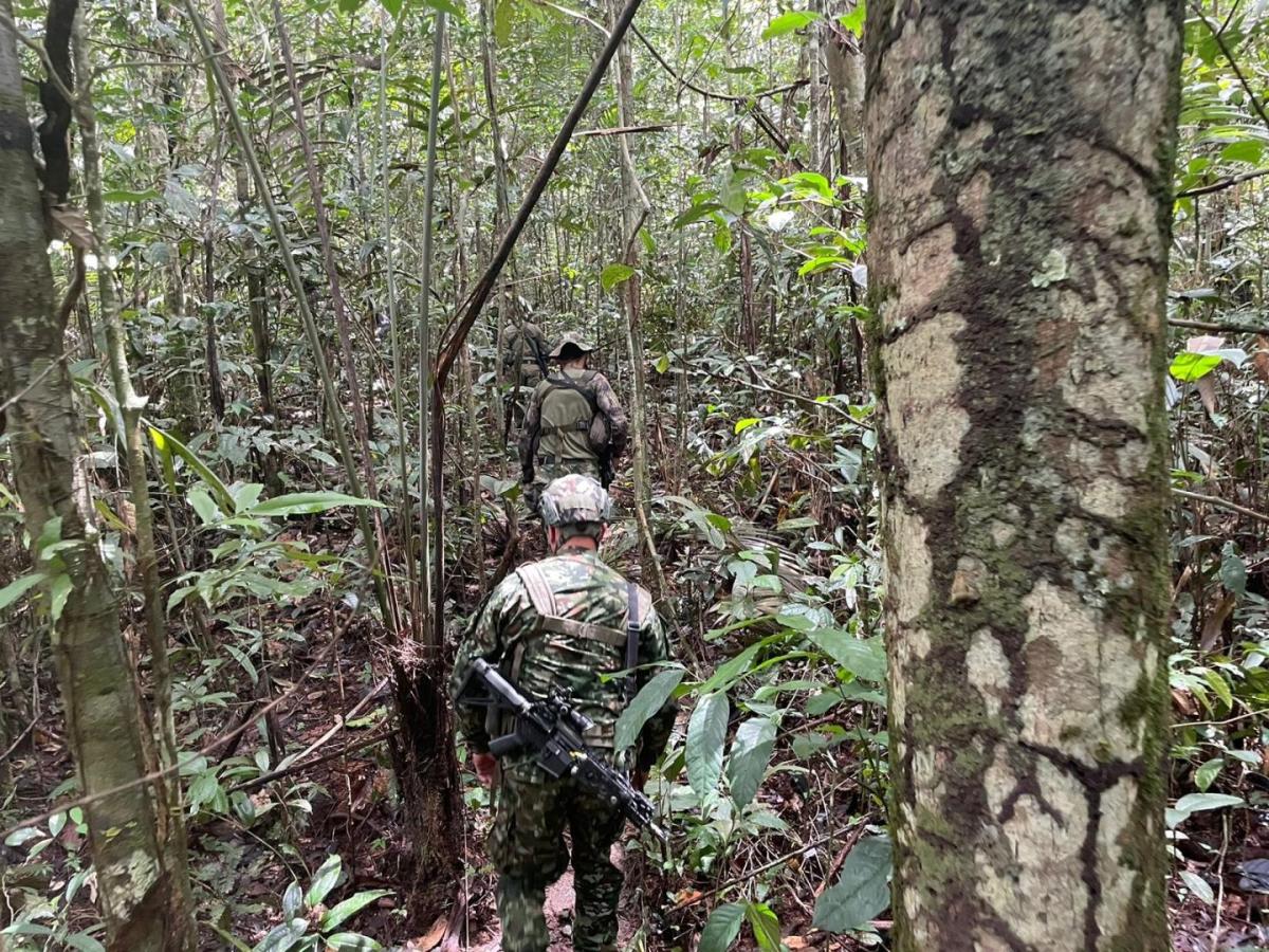 Niños desaparecidos: nuevas pistas en la selva, ¿cuáles son? Niños desaparecidos: nuevas pistas en la selva, ¿cuáles son?