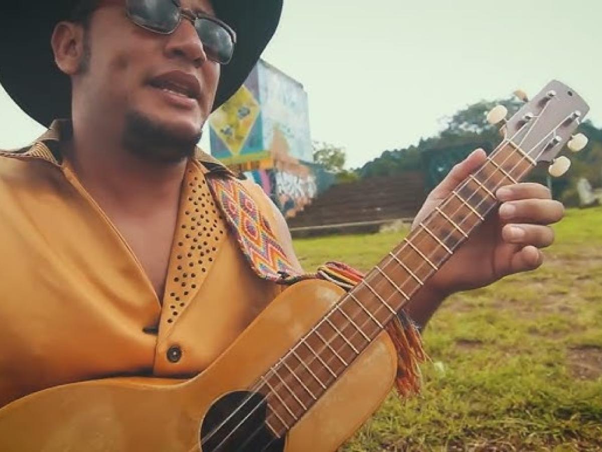 Descarga música gratis en Radio Nacional: "Mi Primer Joropo"