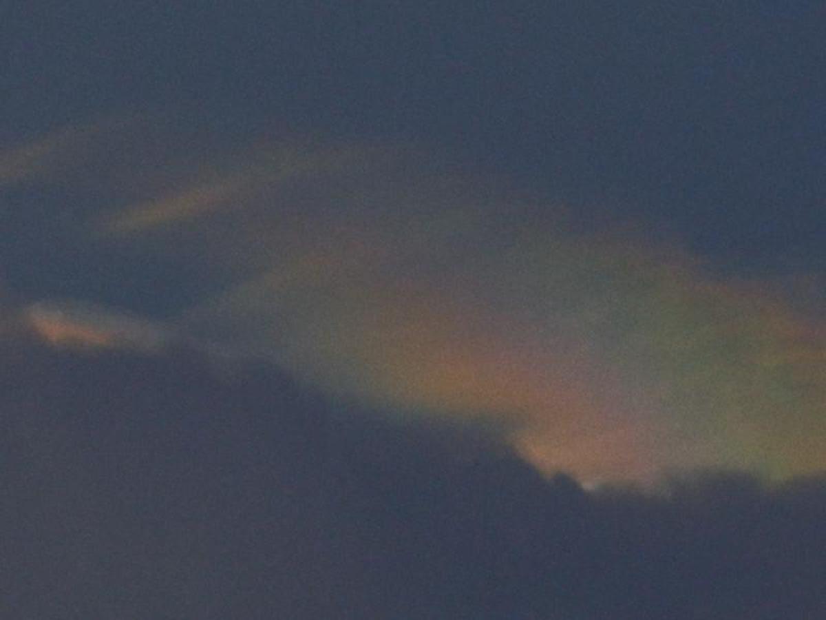 Mira la película “El Origen de las Especies”: horarios, precios