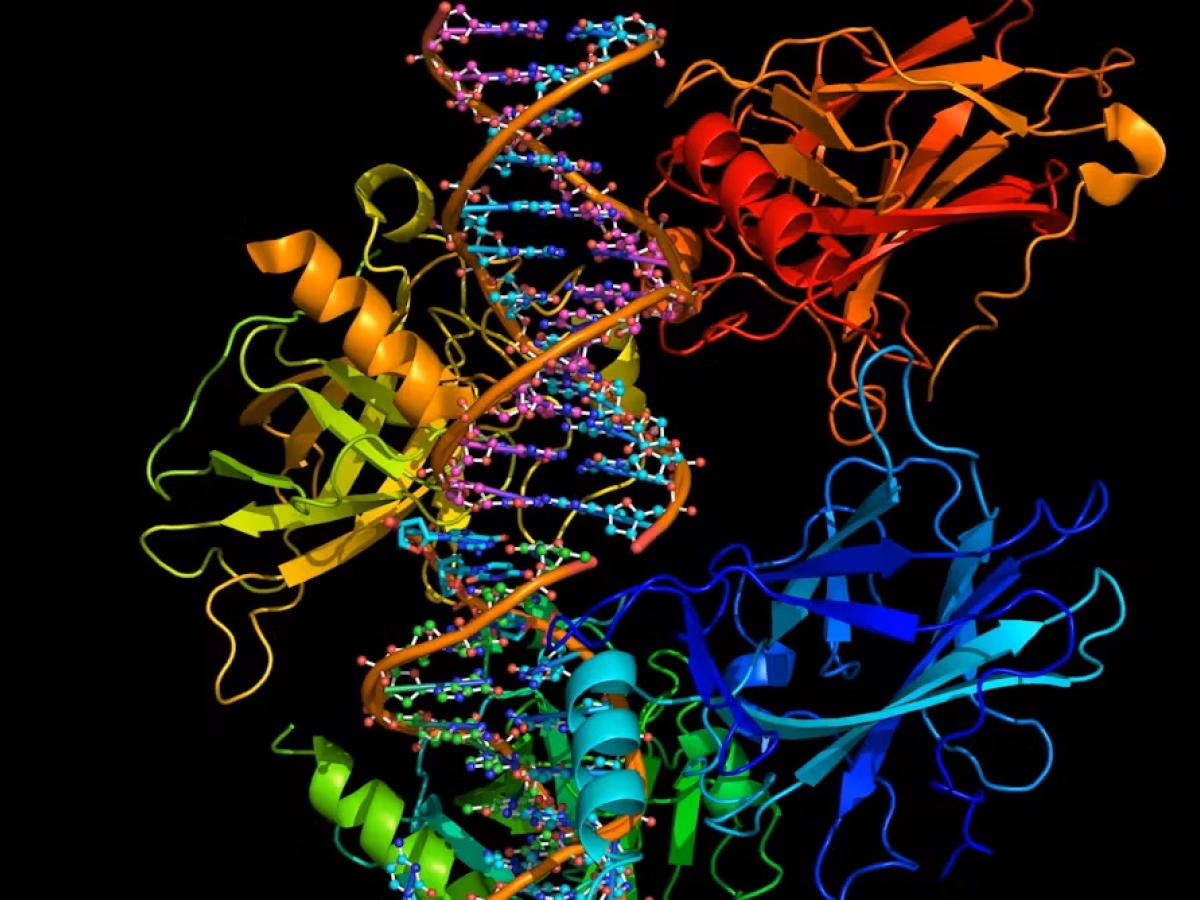 El estrés prolongado podría contribuir de manera directa a la aparición y la progresión del cáncer