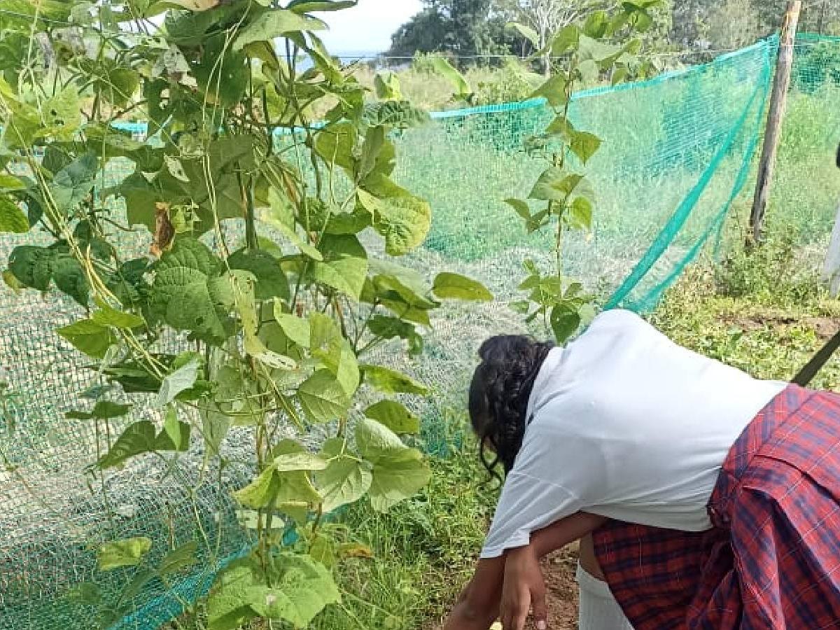 Tercera Feria Agroambiental 2023 en Mesetas, Meta