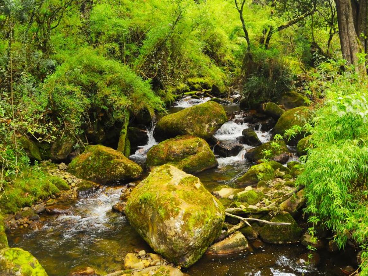 Mes del Patrimonio: recorrido por el río Fucha, afluente emblema de Bogotá