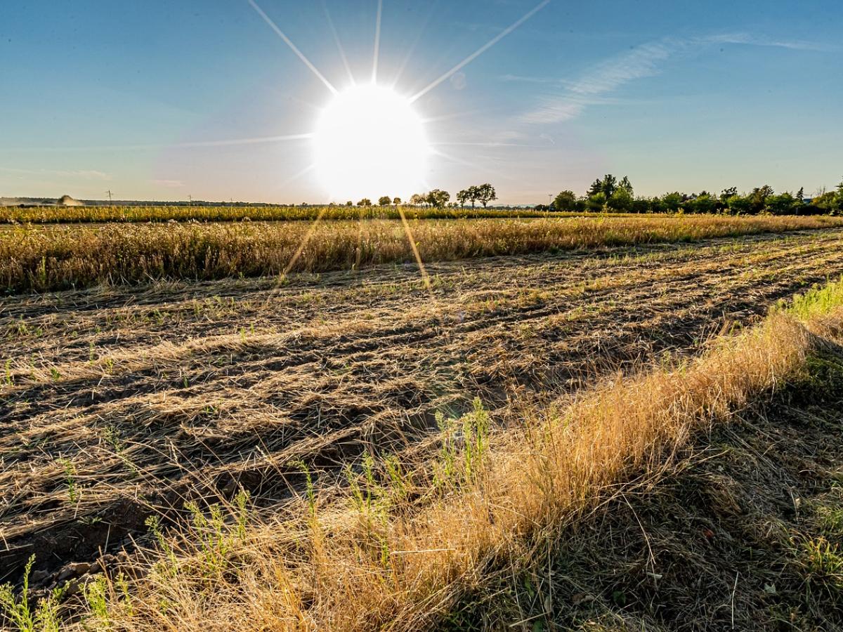 Junio 2023, el mes más cálido en la historia