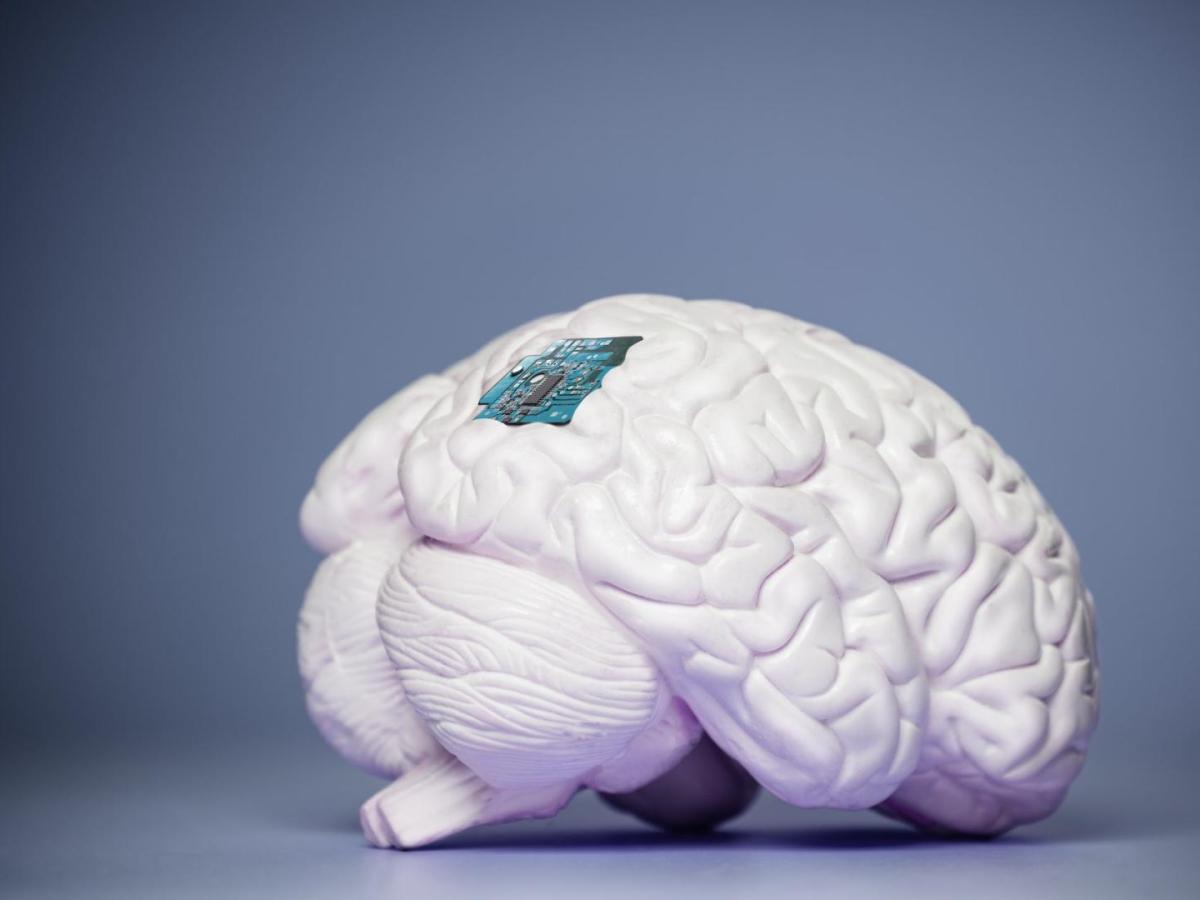 Implantes cerebrales como el creado por Elon Musk