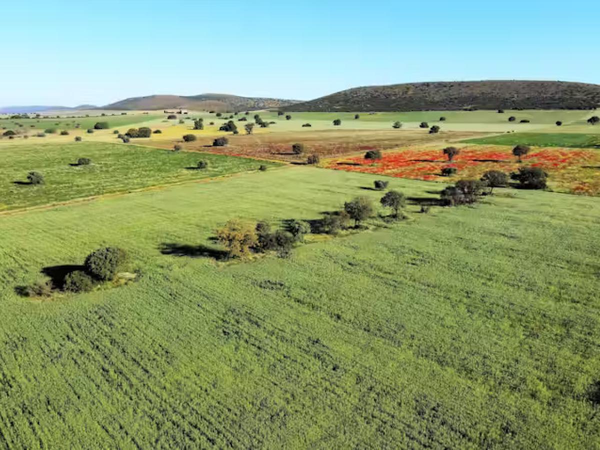 Beneficios de devolver la biodiversidad al campo