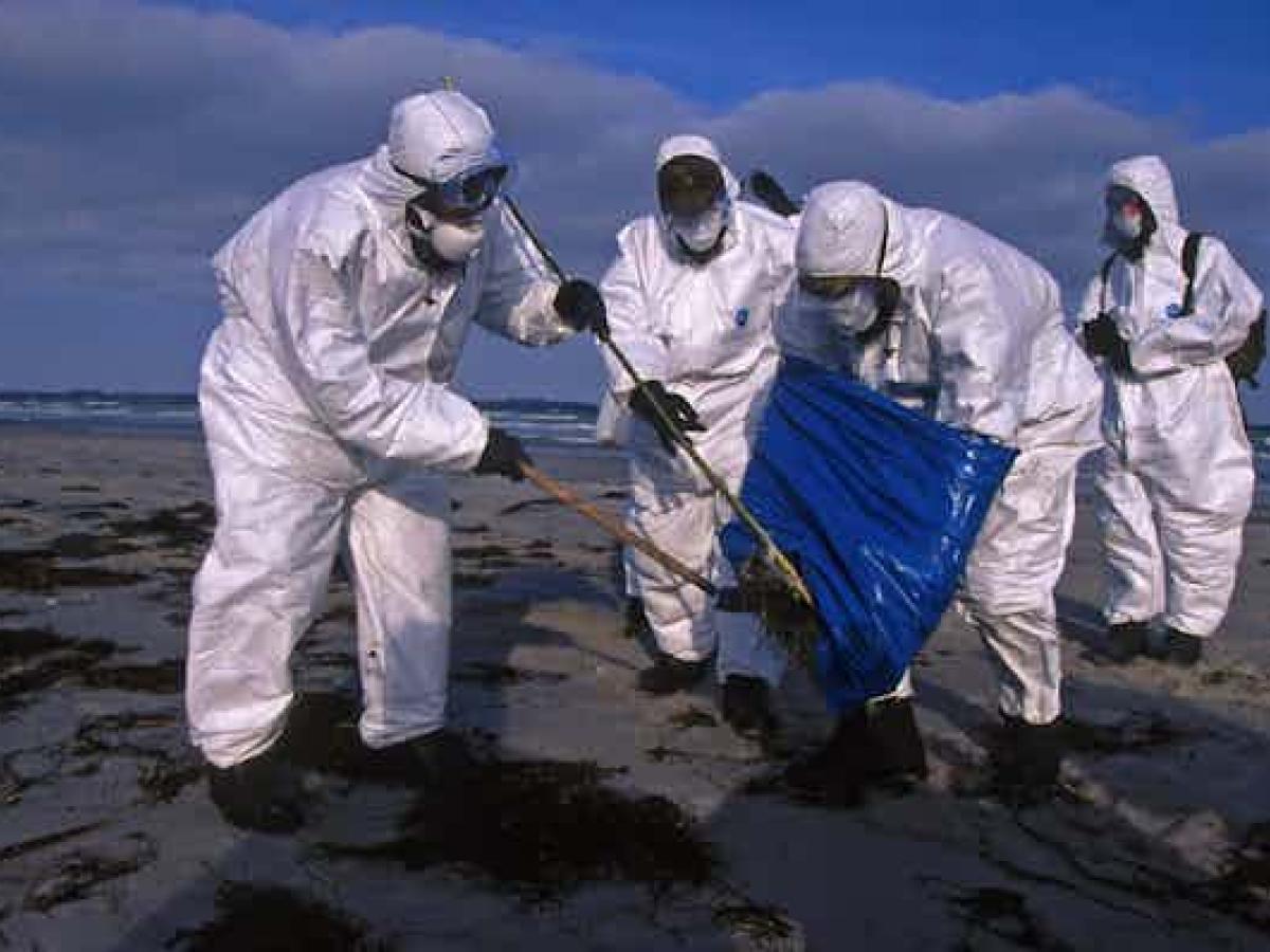 Enfermedades infecciones en el 2025