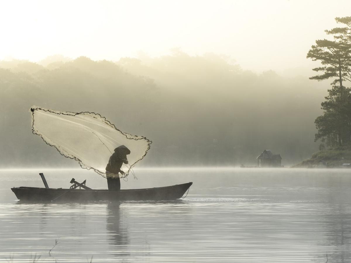 Captura incidental de tiburones y rayas: MinAgricultura emite resolución