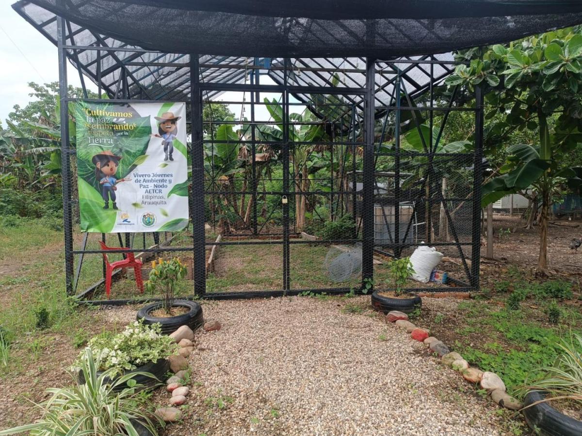 Niños y jóvenes en Arauca se preparan para la defensa de la vida y el ambiente 
