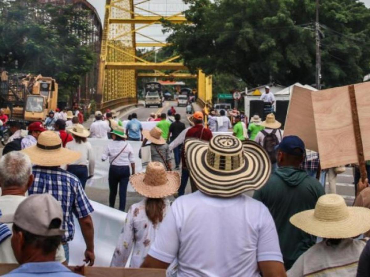 Conclusiones de reunión entre gremios arroceros del Tolima y Huila con el Gobierno nacional