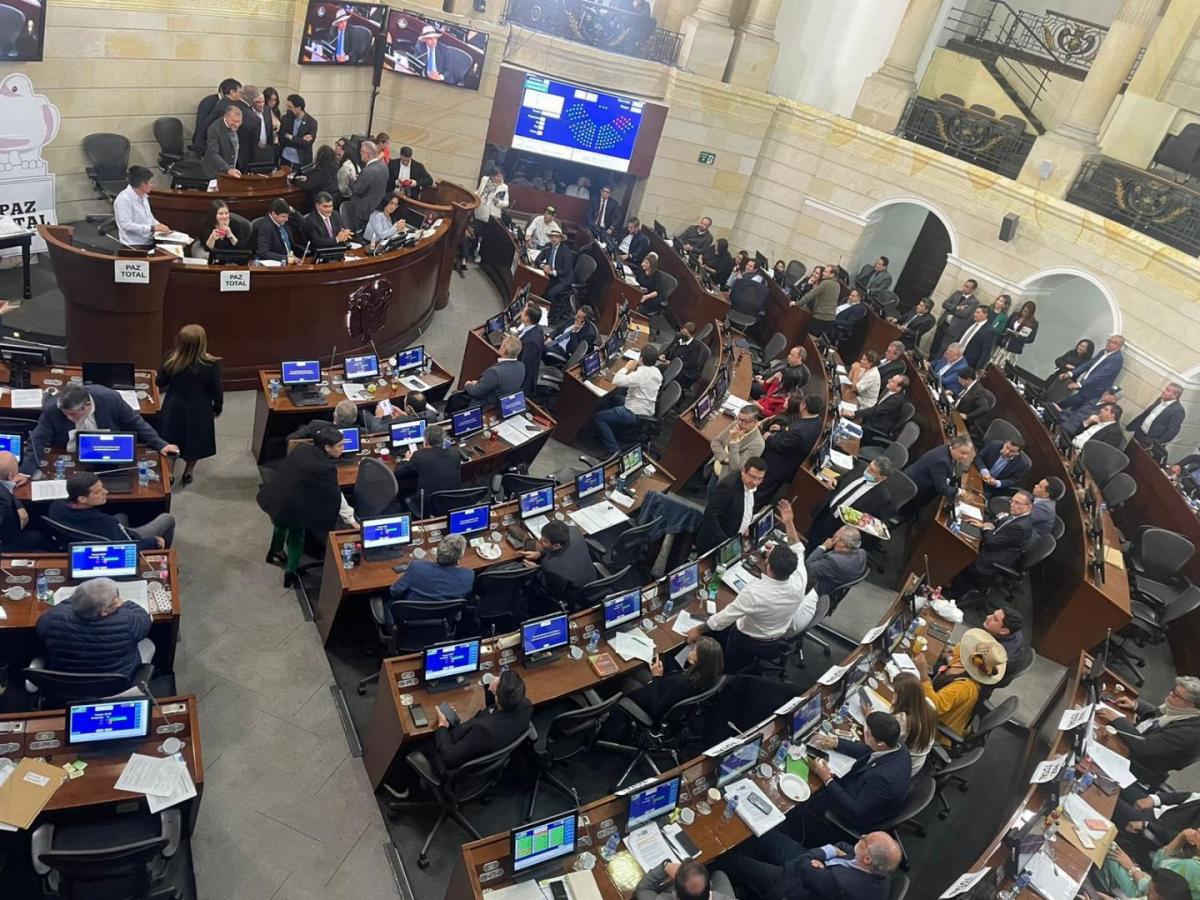 Reforma a la salud | ley ordinaria o estatutaria