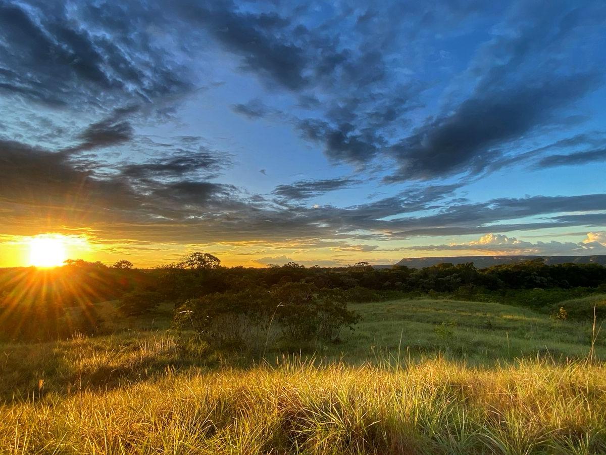 Zonas de Reserva Campesina en La Macarena, Meta, un proyecto que avanza a paso firme